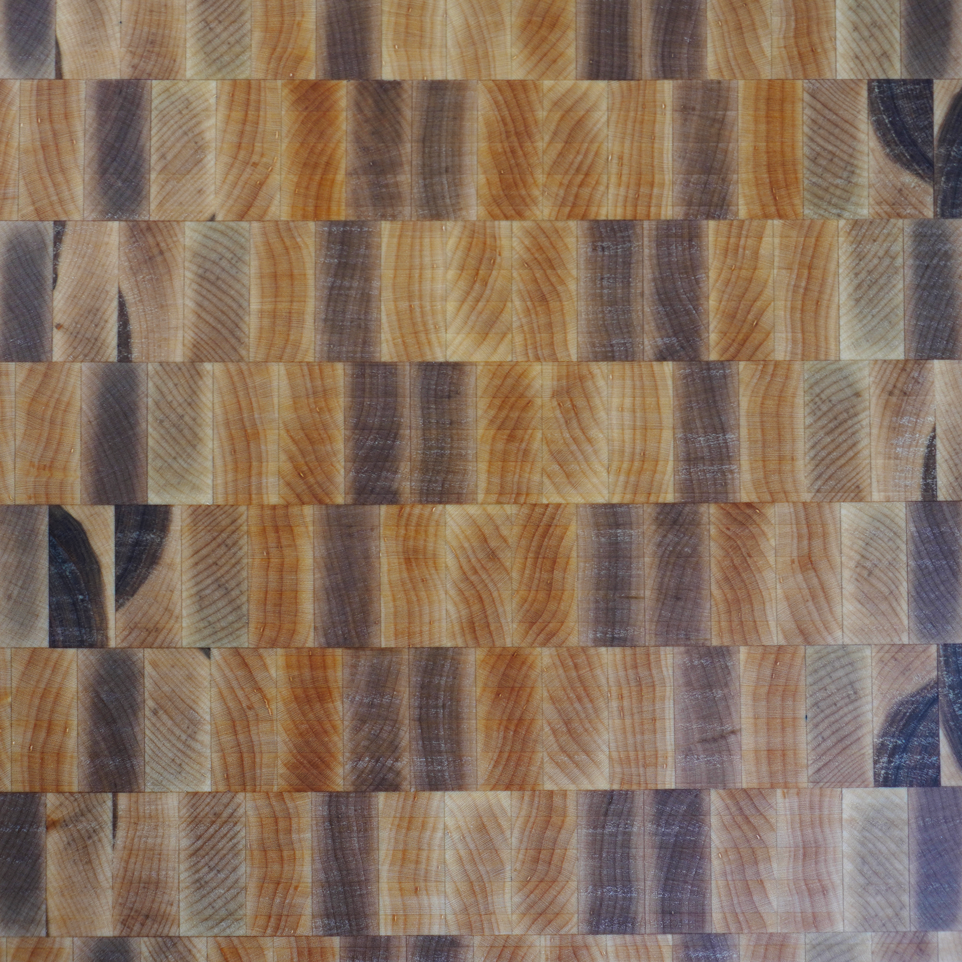 Close up tight shot of maple end grain cutting board wood grain pattern and texture